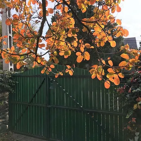 Oreg Roka Haz Apartment